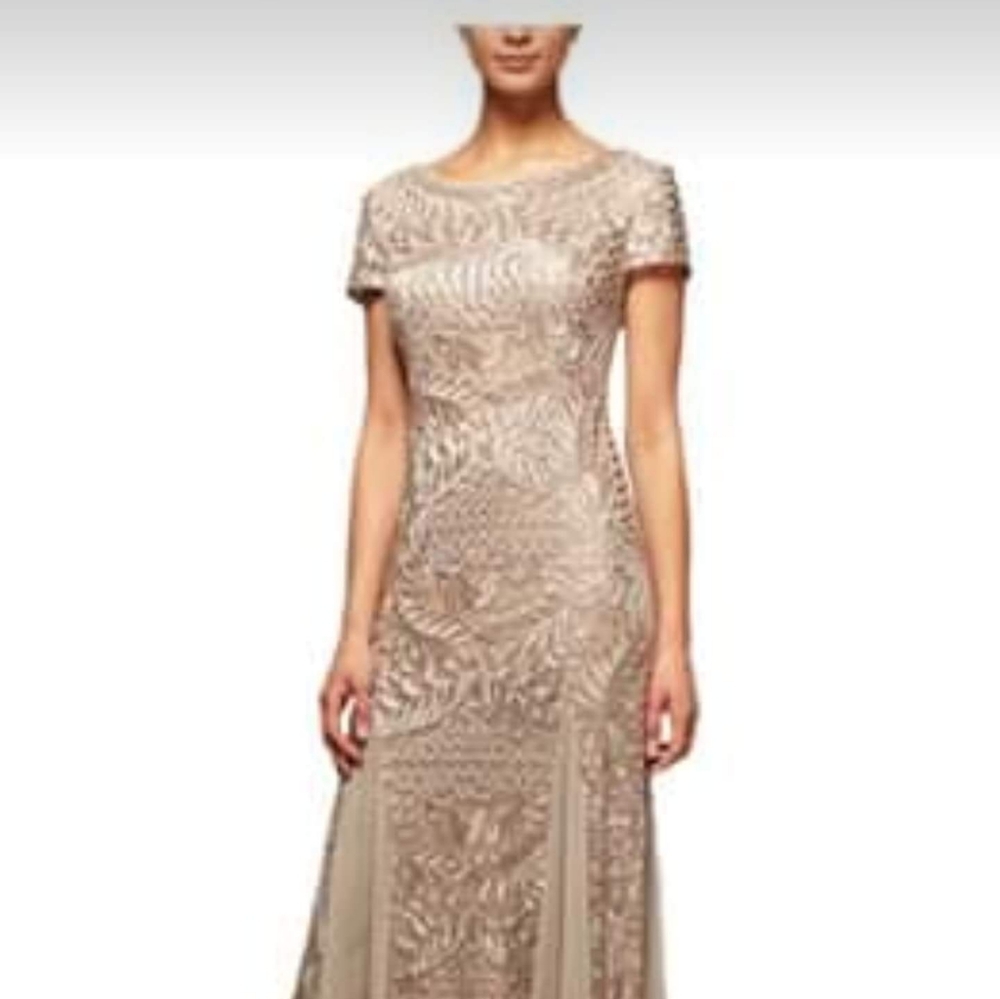 Womens Size 12 Embroidered Evening Dress